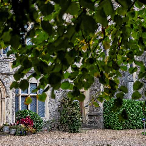 View through green leafy branches of a historic stone building with arched wooden doors, leaded windows, and colorful potted plants near the entrance.