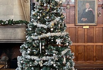Christmas Tree infront of a wooden wall