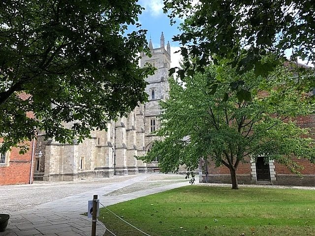 School with trees and with a glimpse of Winchester Cathedral in the back