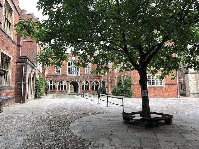 A school courtyard with a tree