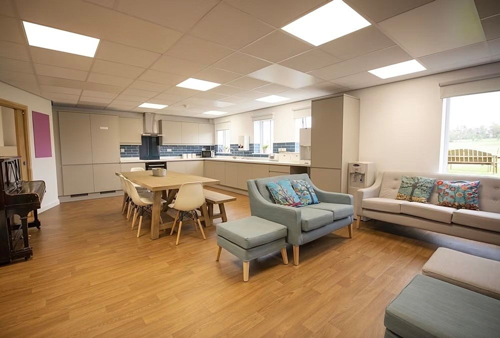 Living room and kitchen with sofas and chairs