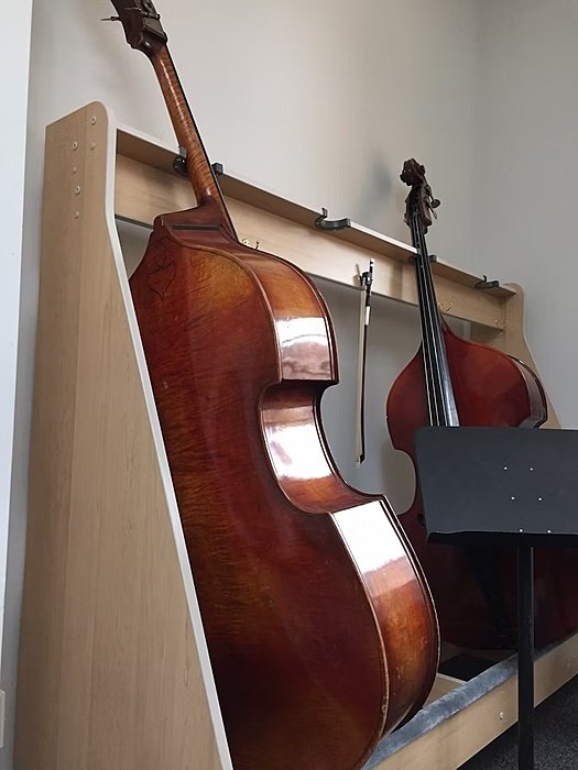 two double basses in an instrument stand