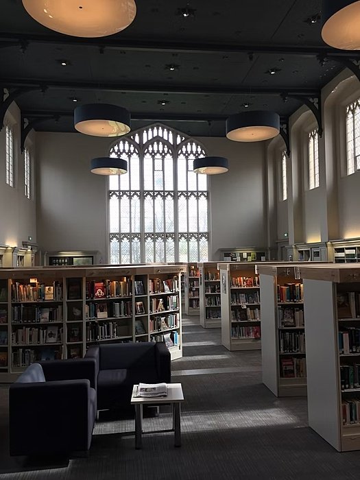Library interior with tall arched window, bookshelves, and modern circular ceiling lights.
