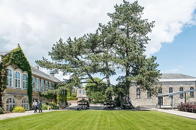 the green Sevenoaks school campus with beautiful old trees