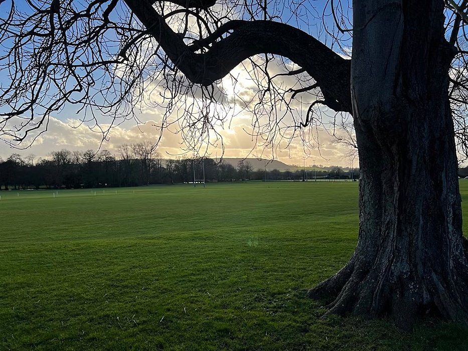 Large open playing field at sunset with trees and hills in the background.