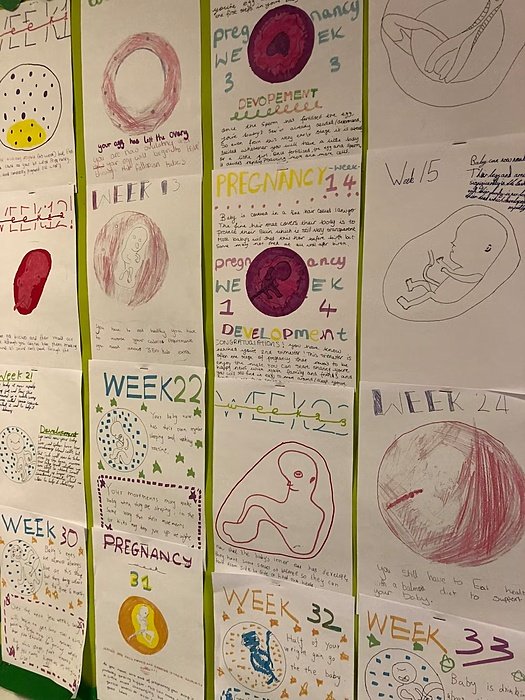 Poster from Biology class