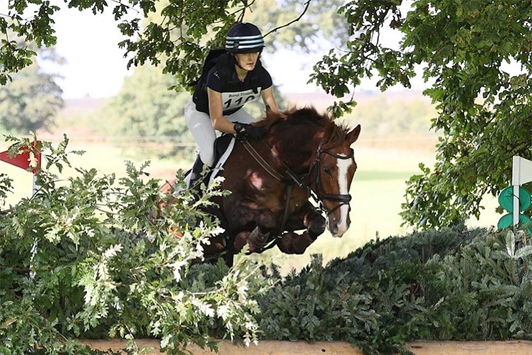 A female rider on a brown horse jumping over a hedge