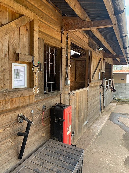 A long stable corridor with wooden horse stalls, exposed roof beams and a red bin.