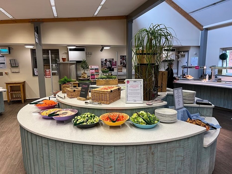 Cantine with salad buffet