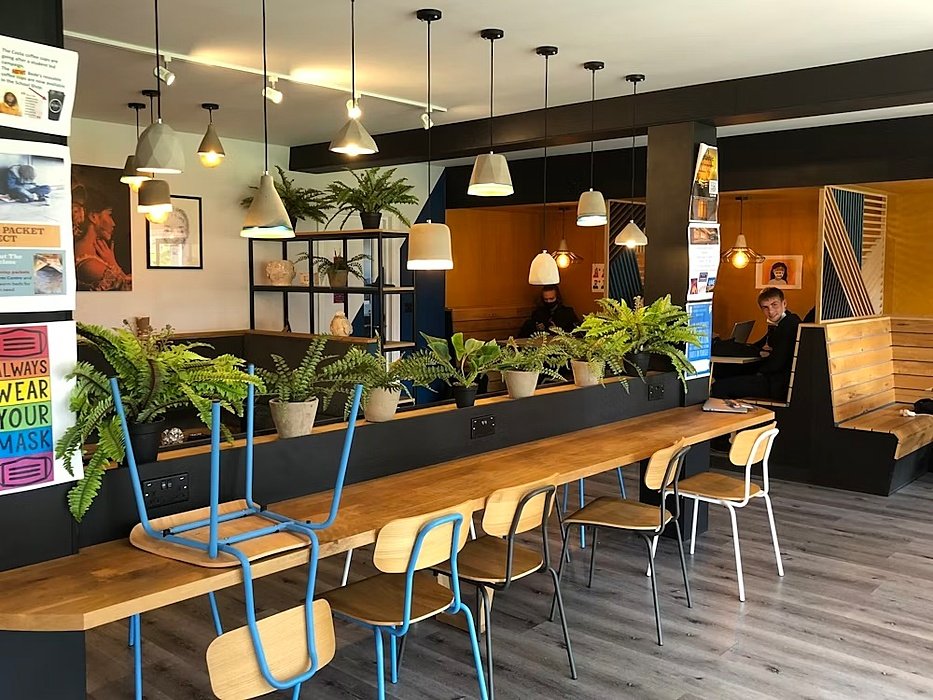 comfortable looking cafe with school chairs and plants