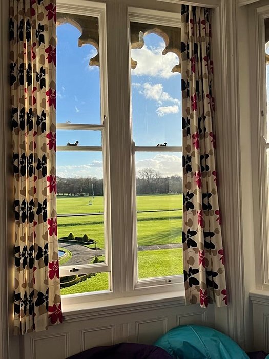 View out of a window onto a green sportfield