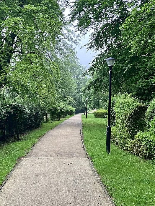 A quiet footpath lined with trees and lampposts in a lush green park.