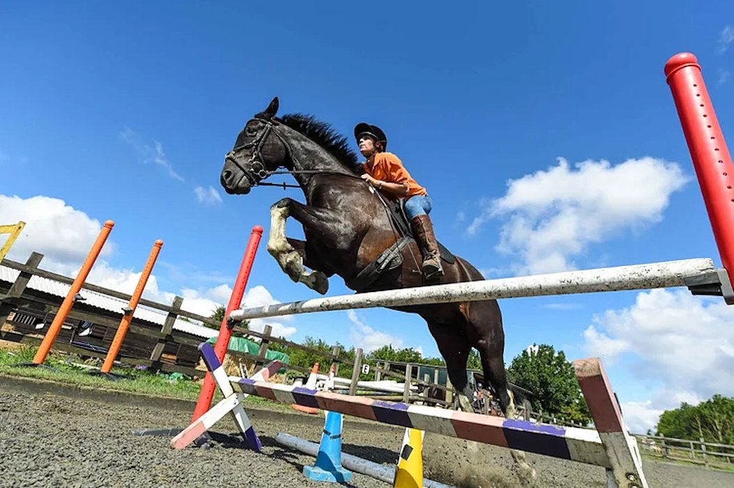 A rider on horseback jumps over a colourful obstacle in an outdoor riding arena under a bright blue sky.