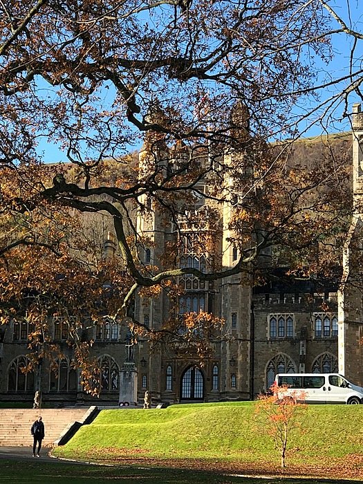 Image 14