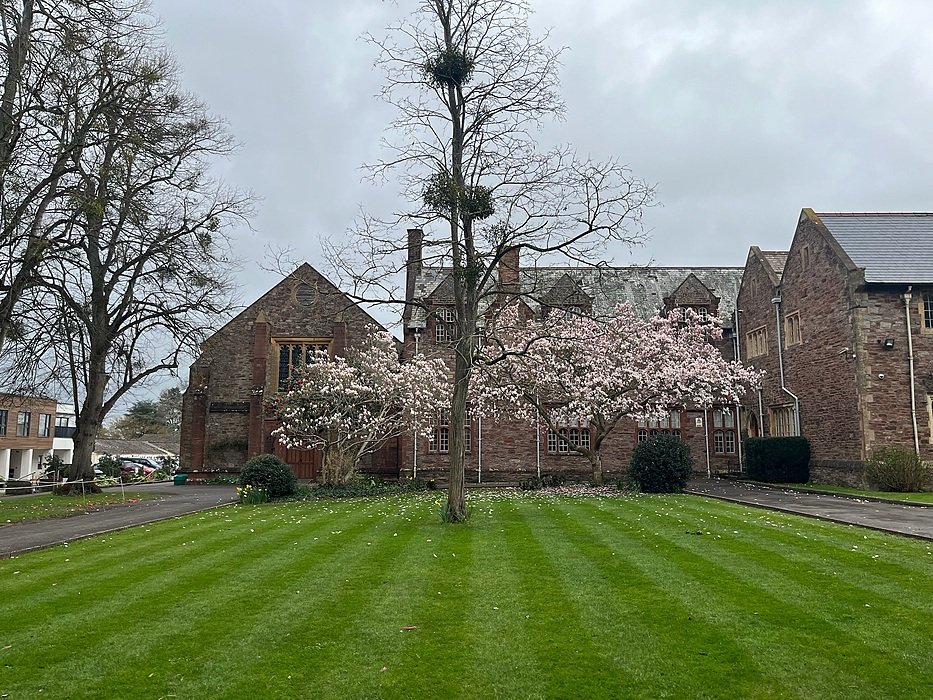 Historic boarding house with blooming trees and manicured lawns