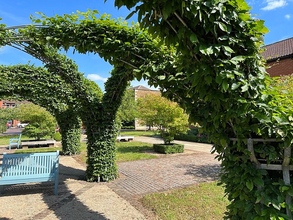 Green planted archway in a park