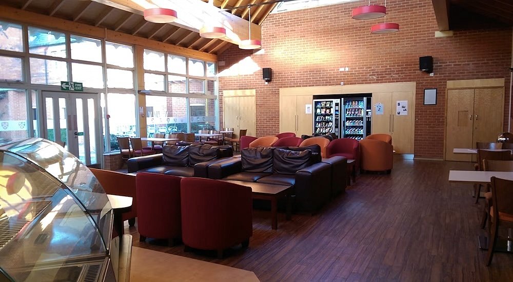 Sofas and chairs in a bright open space