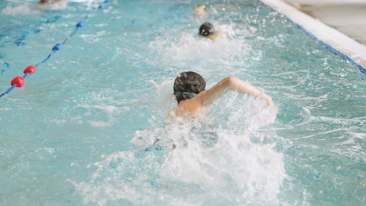 Pupils swimming front crawl during a race in a pool.
