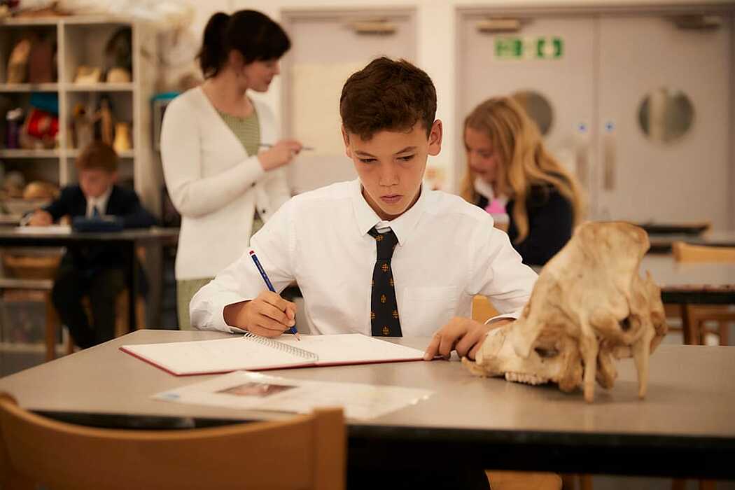 a student in shirt and tie doing a drawing of an animal scull at the arts department