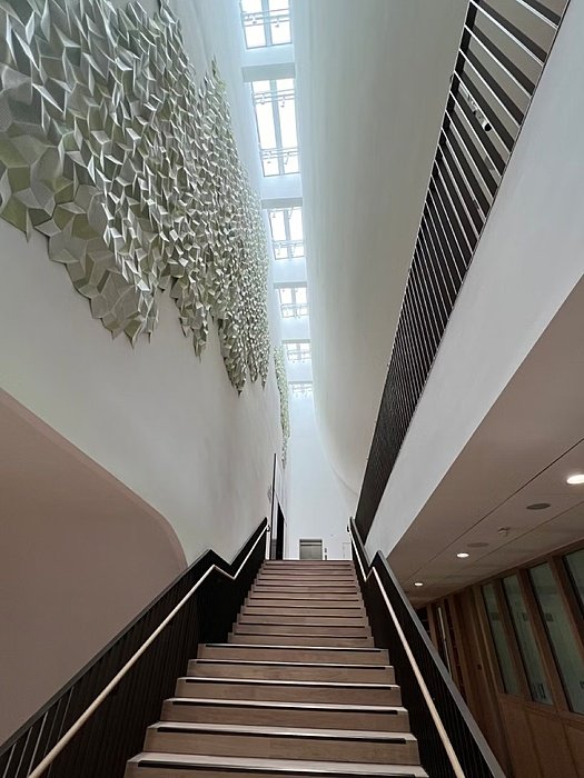 Stairs leading to the new theatre at Brighton College
