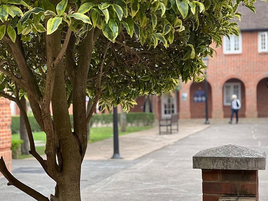 Campus with tree