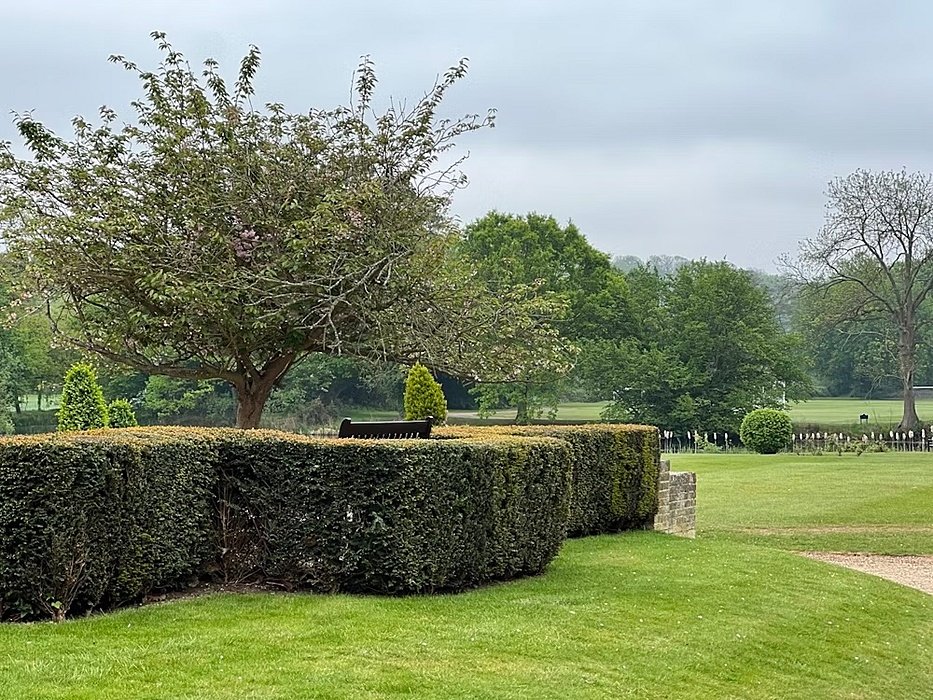 Park with hedges, trees and green