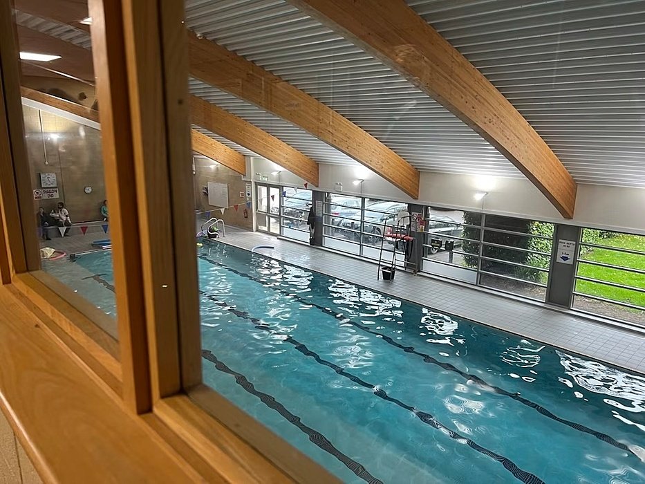 swimmingpool with a lot of timber and brightness