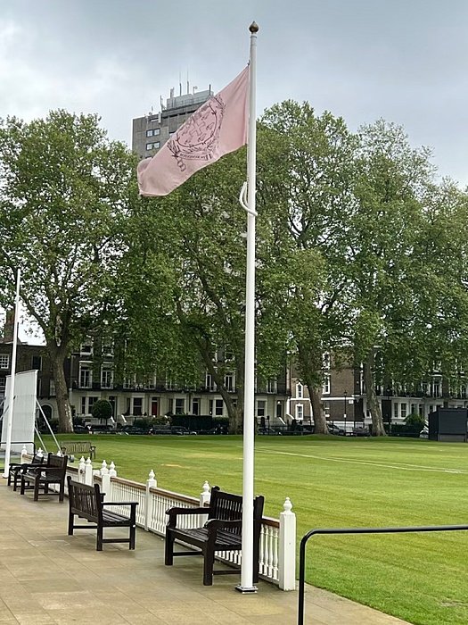 Flagpole with a pink flag flying beside a green sports field lined with benches and trees.