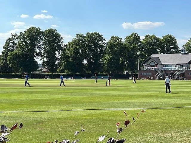 cricket training on the green during summer