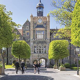 1716212635 the college hero