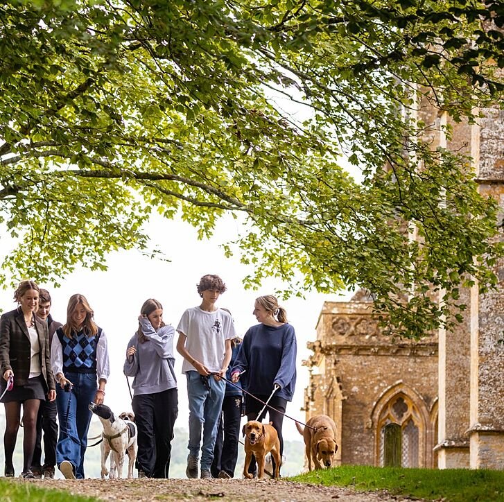 a group of students on a walk over the school campus with several dogs on the leash