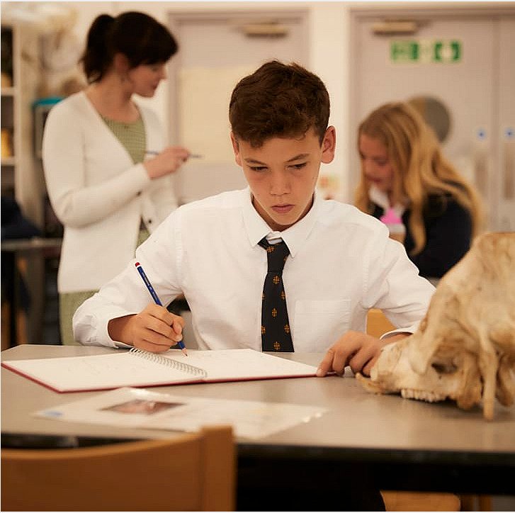 a student in shirt and tie doing a drawing of an animal scull at the arts department