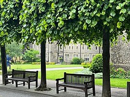 Park benches under trees on the stunning campus at Brighton college