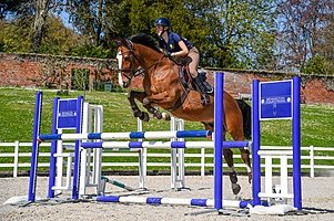 A student doing horse jumping at Bryanston School