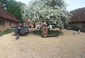 Farm-like courtyard with a white blossoming tree in the middle