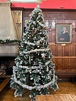 Christmas Tree infront of a wooden wall