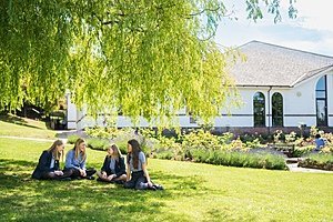 students in their uniforms are sitting underneath a tree on the grass chatting