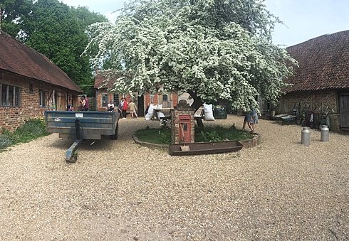 Farm-like courtyard with a white blossoming tree in the middle