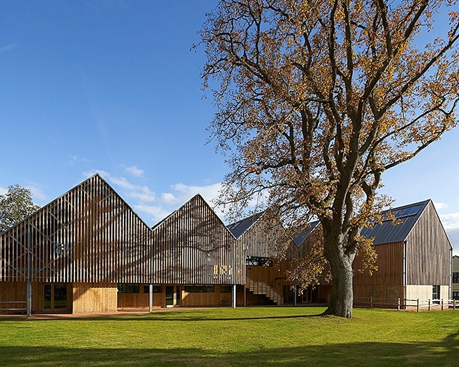 A modern wooden school building with sharply pitched roofs and large windows, set beside a tall tree on a green lawn under a clear blue sky.