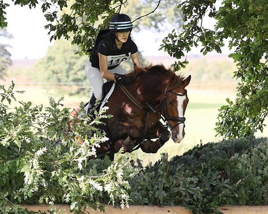 A female rider on a brown horse jumping over a hedge