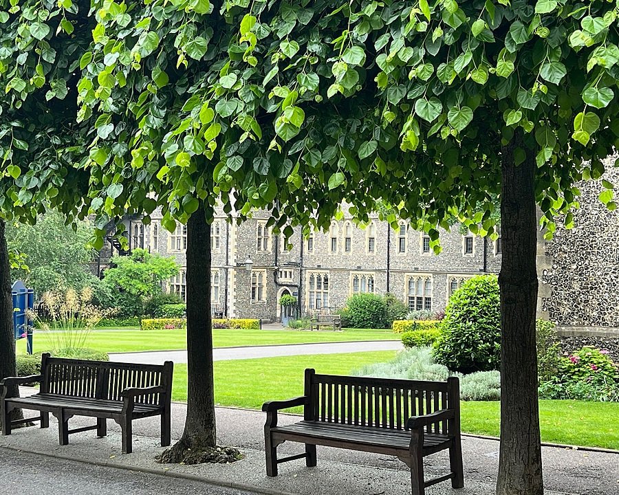 Park benches under trees on the stunning campus at Brighton college