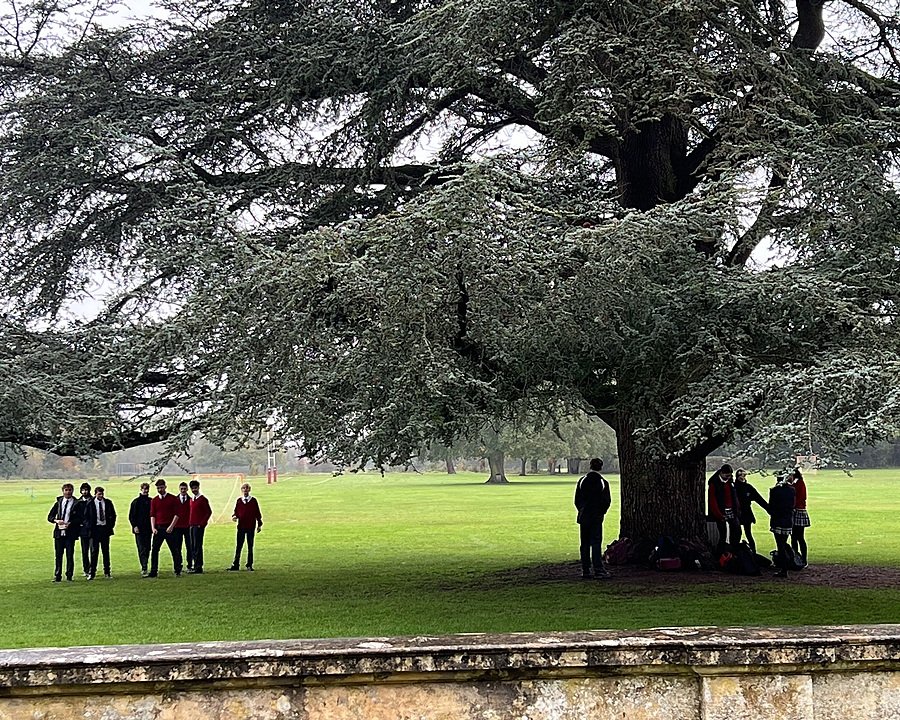 students under an old cedar tree on the Westonbirt School campus