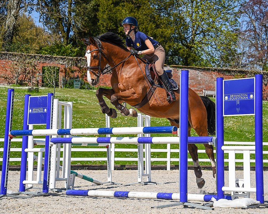 A student doing horse jumping at Bryanston School