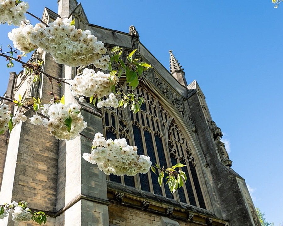 Chapel and Blossom Large 