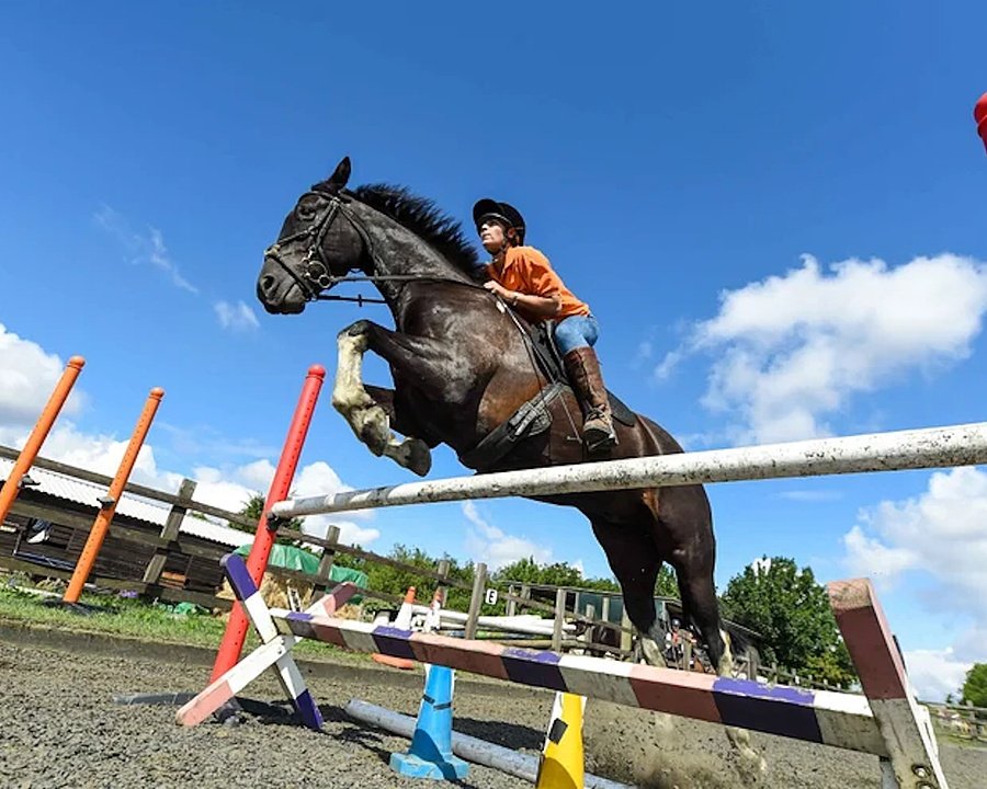 A rider on horseback jumps over a colourful obstacle in an outdoor riding arena under a bright blue sky.