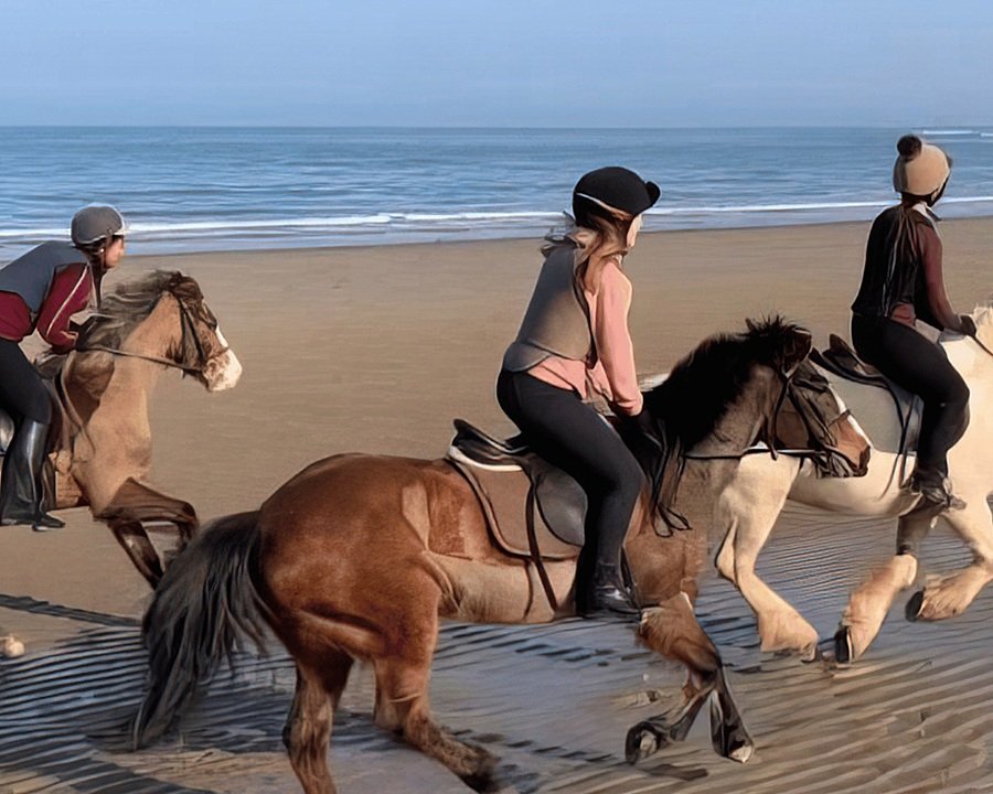 Students riding horses along a sandy beach beside the sea.