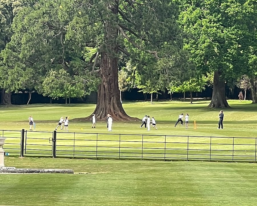 Group of children playing cricket on a green field surrounded by tall trees.