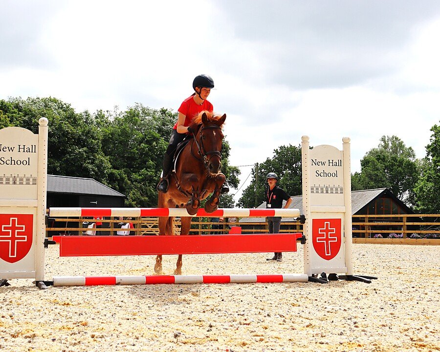 Student jumping a horse over an obstacle in an outdoor riding arena.