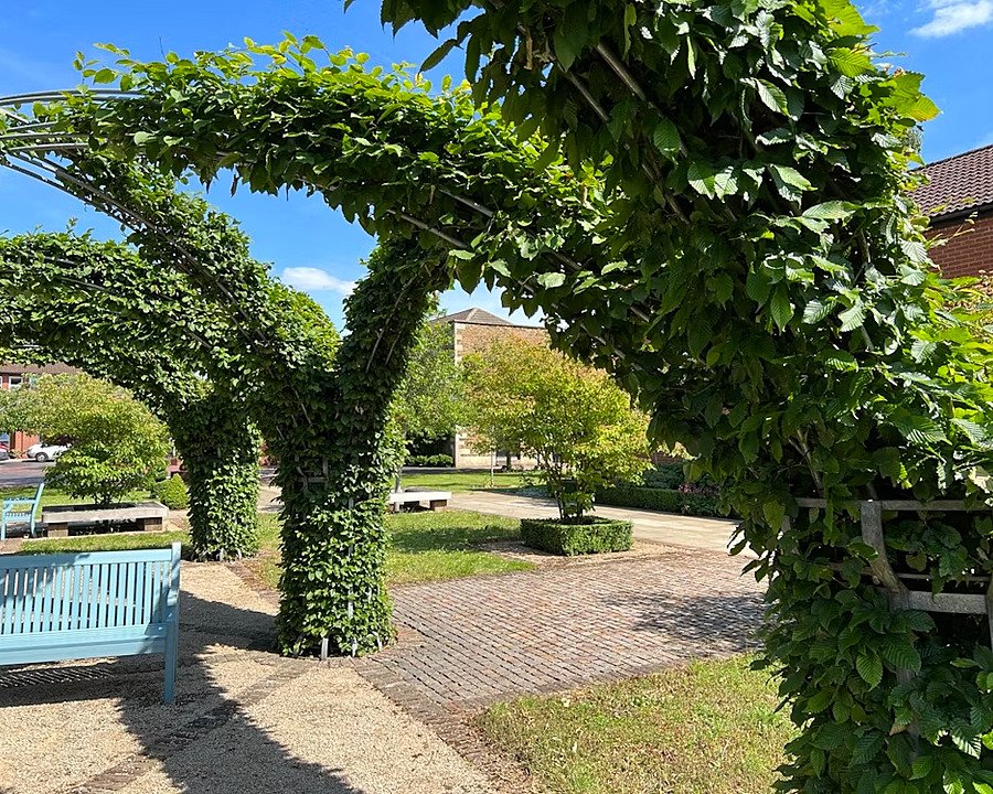 Green planted archway in a park