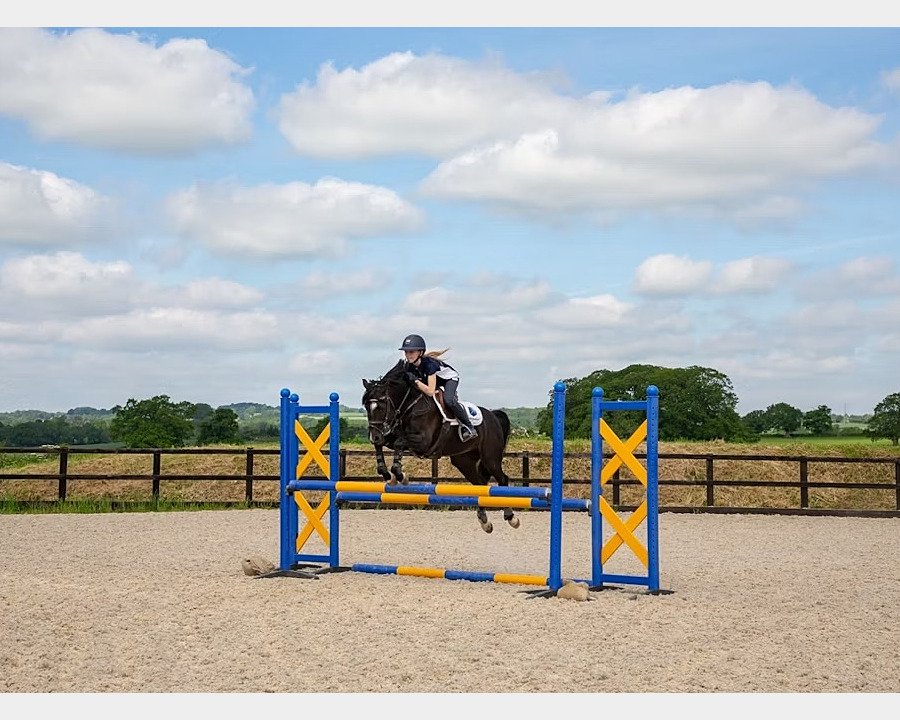 A horse with its rider jumping over bars